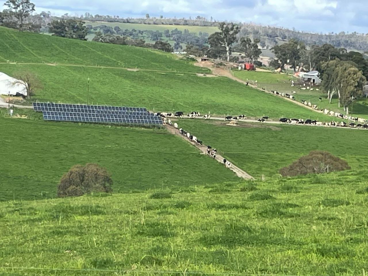 Life on the Paringa Park View farm